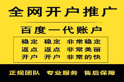 百度竞价广告投放案例解析
