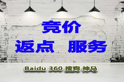 某电商平台的SEM关键词策略及成效分析